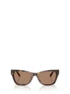 Jimmy Choo Sunglasses In Brown