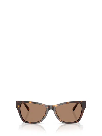 Jimmy Choo Sunglasses In Brown