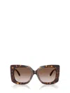 Jimmy Choo Sunglasses In Brown