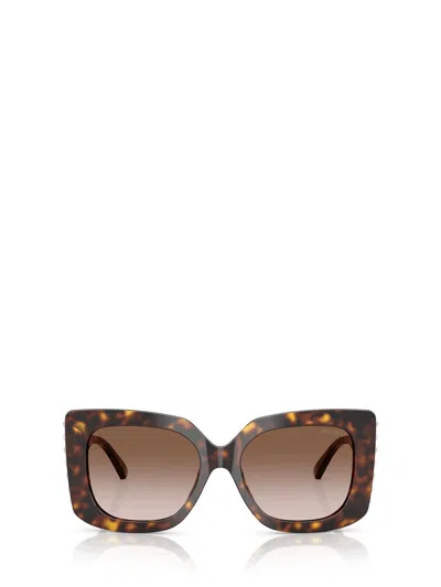 Jimmy Choo Sunglasses In Brown