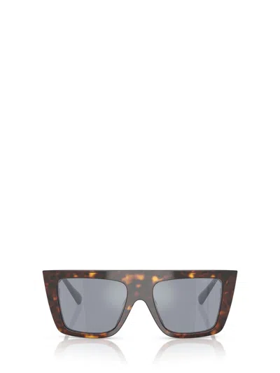 Jimmy Choo Sunglasses In Brown