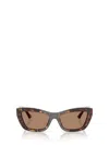 Jimmy Choo Sunglasses In Multi