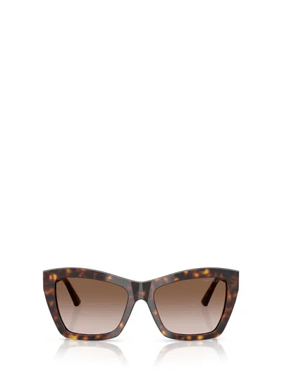 Jimmy Choo Sunglasses In Brown