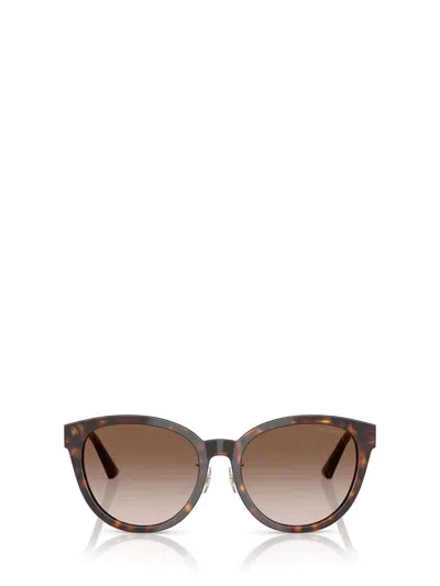 Jimmy Choo Sunglasses In Brown