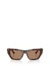 Jimmy Choo Sunglasses In Brown