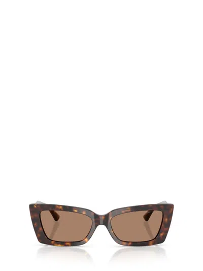 Jimmy Choo Sunglasses In Burgundy