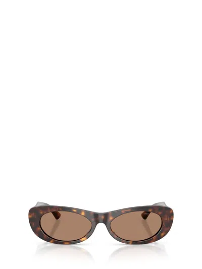 Jimmy Choo Sunglasses In Burgundy