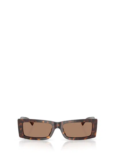 JIMMY CHOO JIMMY CHOO SUNGLASSES