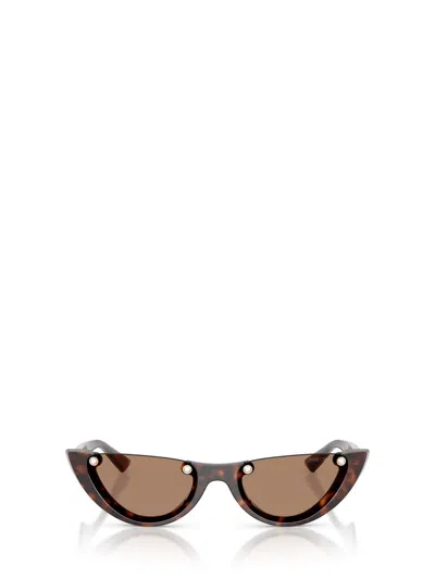Jimmy Choo Sunglasses In Brown