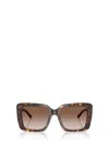 Jimmy Choo 54mm Gradient Butterfly Sunglasses In Brown