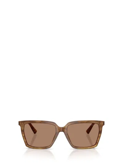 Jimmy Choo Sunglasses In Brown