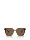 Jimmy Choo Eyewear Square Frame Sunglasses In Brown