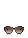 Jimmy Choo Eyewear Cat-eye Frame Sunglasses In Brown