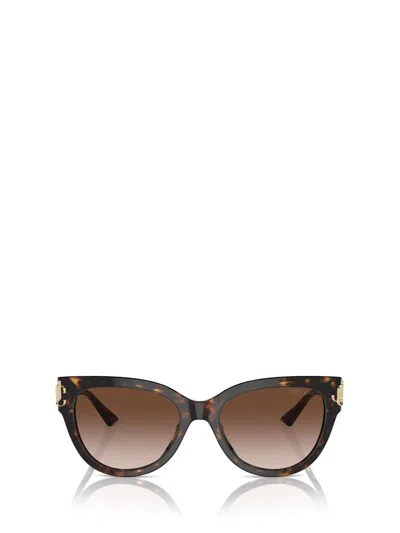 Jimmy Choo Sunglasses In Brown