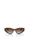Jimmy Choo Sunglasses In Brown