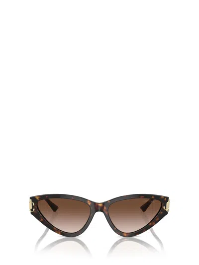 Jimmy Choo Sunglasses In Brown