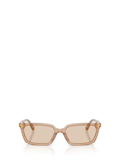 JIMMY CHOO JIMMY CHOO SUNGLASSES