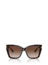 Jimmy Choo Woman Sunglass Jc5012 In Brown