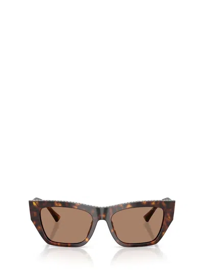 Jimmy Choo Sunglasses In Brown