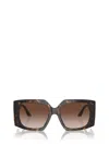 Jimmy Choo Sunglasses In Brown