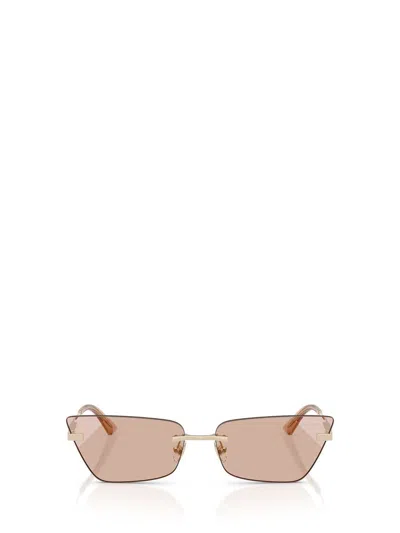 Jimmy Choo Sunglasses In Brown