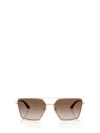 Jimmy Choo Sunglasses In Brown