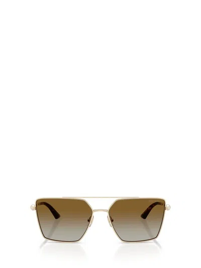 Jimmy Choo Sunglasses In Brown