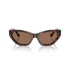 Jimmy Choo Acetate Jc5022b Sunglasses In Havana/marrone