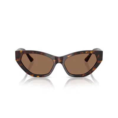 Jimmy Choo Acetate Jc5022b Sunglasses In Brown