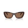 Jimmy Choo Sunglasses In Havana/marrone
