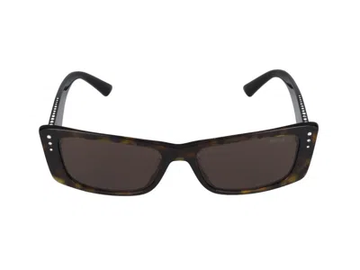 Jimmy Choo Sunglasses In Brown