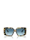 Jimmy Choo Sunglasses In Multi