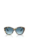 Jimmy Choo Cat-eye Sunglasses In Multicolor