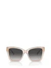Jimmy Choo Sunglasses In Neutral