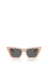 Jimmy Choo 53mm Cat Eye Sunglasses In Pink