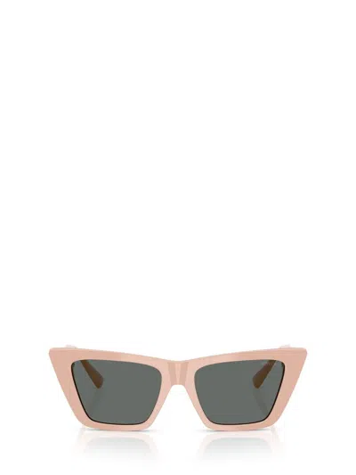 Jimmy Choo 53mm Cat Eye Sunglasses In Pink