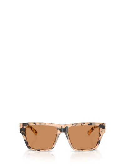 Jimmy Choo Sunglasses In Brown