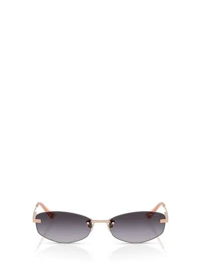 Jimmy Choo Sunglasses In Pink