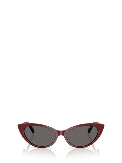 Jimmy Choo Sunglasses In Brown