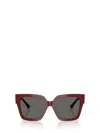 Jimmy Choo Sunglasses In Brown
