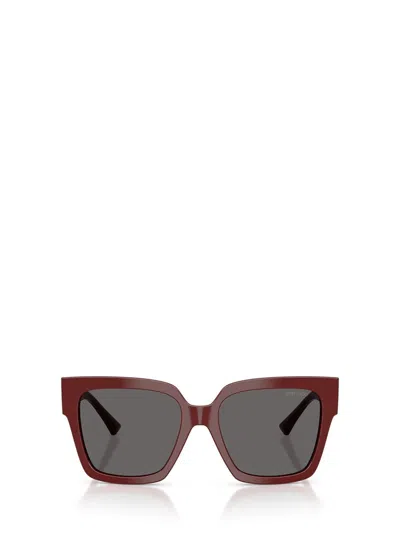 Jimmy Choo Sunglasses In Brown