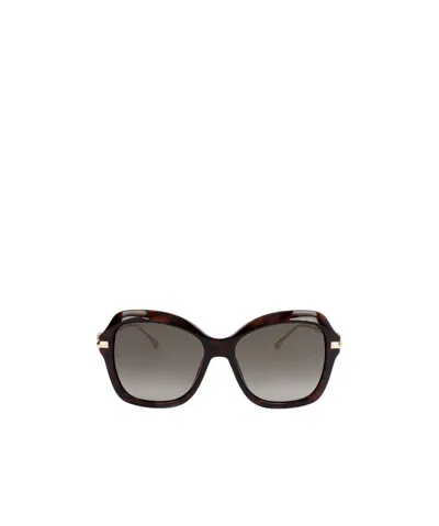 Jimmy Choo Tessy Butterfly Frame Sunglasses In Gray