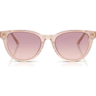 Jimmy Choo Trace 53mm Phantos Sunglasses