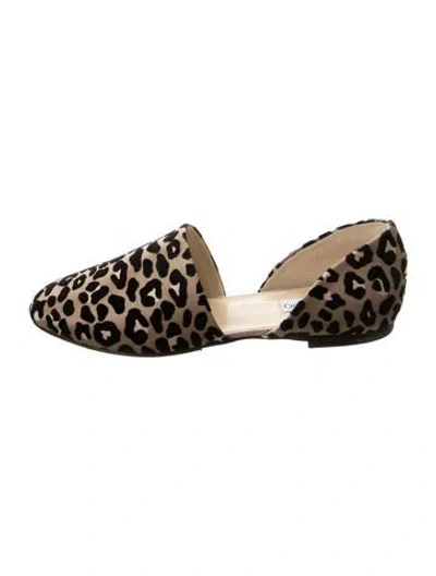 Pre-owned Jimmy Choo Velvet Animal Print Flats In Neutral