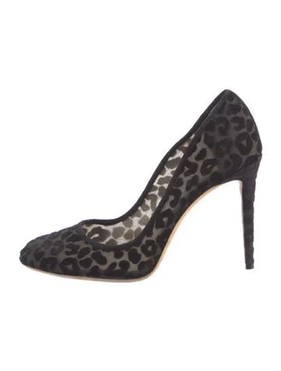 Pre-owned Jimmy Choo Velvet Animal Print Pumps In Black