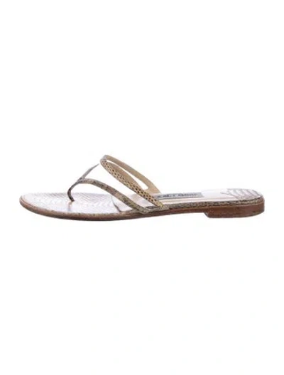 Pre-owned Jimmy Choo Vintage Snakeskin Flip Flops In Multicolor