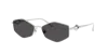 Jimmy Choo Frau Sunglass Jc4017 In Dunkelgrau