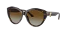 Jimmy Choo Woman Sunglass Jc5007 In Polarized Gradient Brown