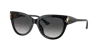 Jimmy Choo Jc 5018u 50008g 54mm Womens Phantos Sunglasses In Dark Grey