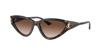 Jimmy Choo Brown Gradient Cat Eye Ladies Sunglasses Jc5019 500213 55 In Multi
